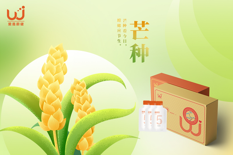 【芒种】芒种风起，麦浪香