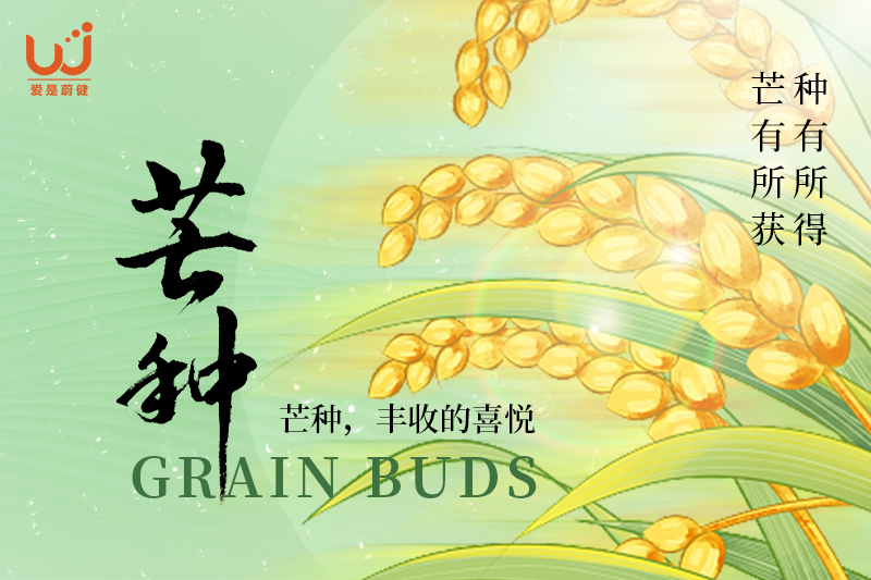 芒种：愿你“芒”有所获，“种”有所得