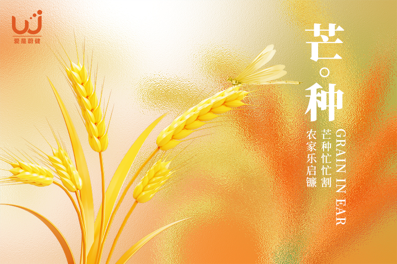 今日芒种 | “芒”藏夏韵 “种”蓄秋实