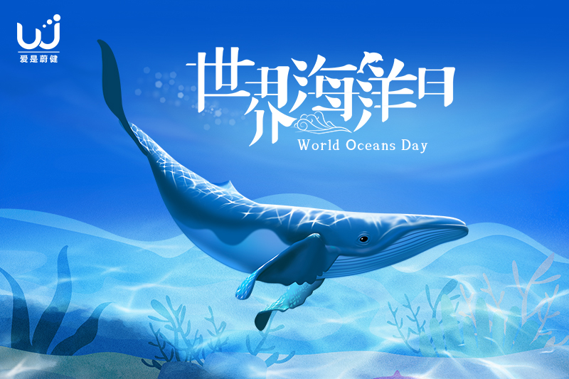 世界海洋日|守护蔚蓝，生生不息