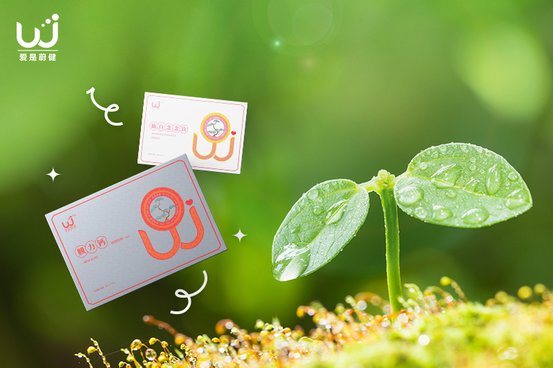 2-17封面14.jpg 2-17封面14.jpg