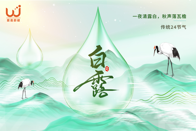 白露3.jpg 白露3.jpg